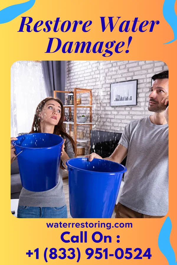 water restoration Sentinel Damage Recovery Company Frewsburg